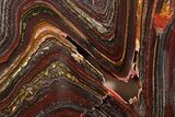 Polished Tiger Iron Stromatolite Slab - Billion Years #351880-1